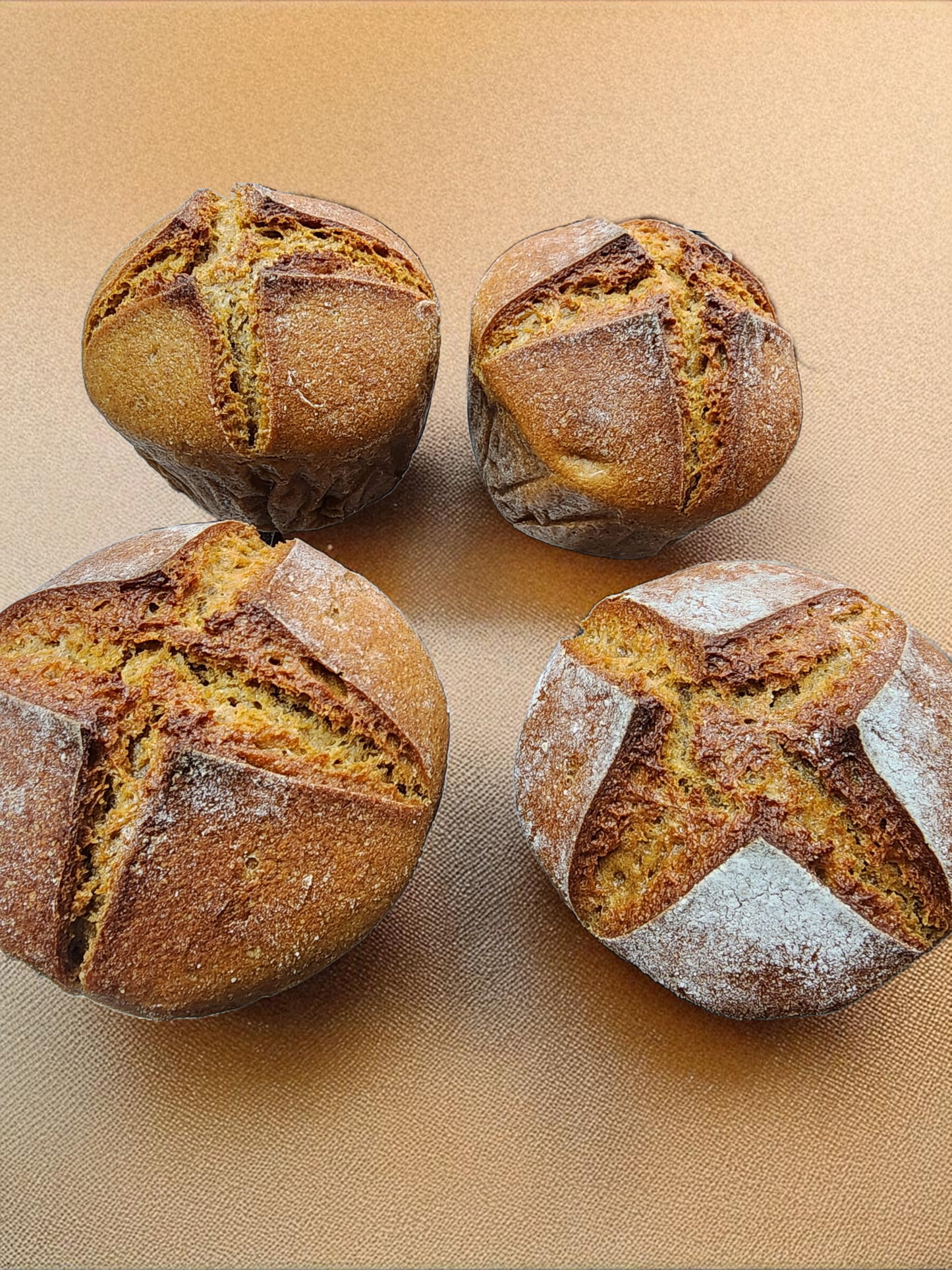 Light Einkorn Sourdough Roll