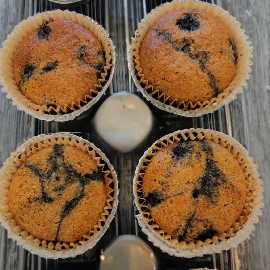 Einkorn Sourdough Blueberry Cupcake